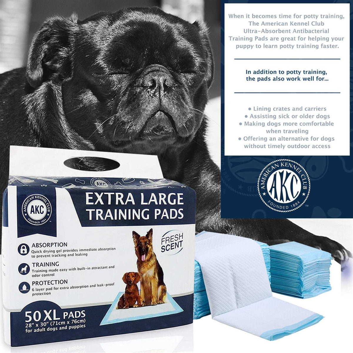 Training Pads T349857