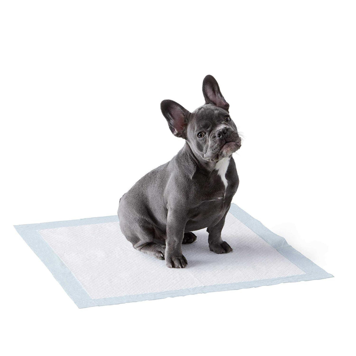 Dog and Puppy Pee Pads with 5-layer Leak-proof Design and Quick-dry Surface L237249