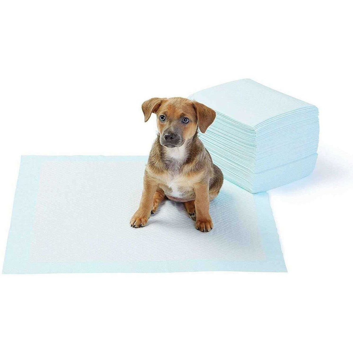 Dog and Puppy Pee Pads with 5-layer Leak-proof Design and Quick-dry Surface L237249
