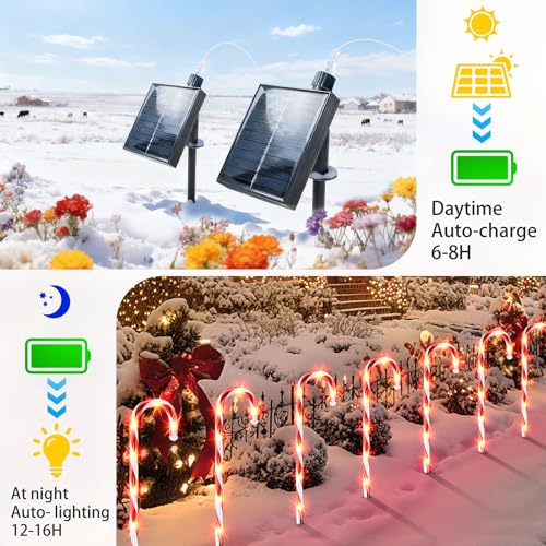 12 Pack Red Candy Cane Pathway Lights C85050