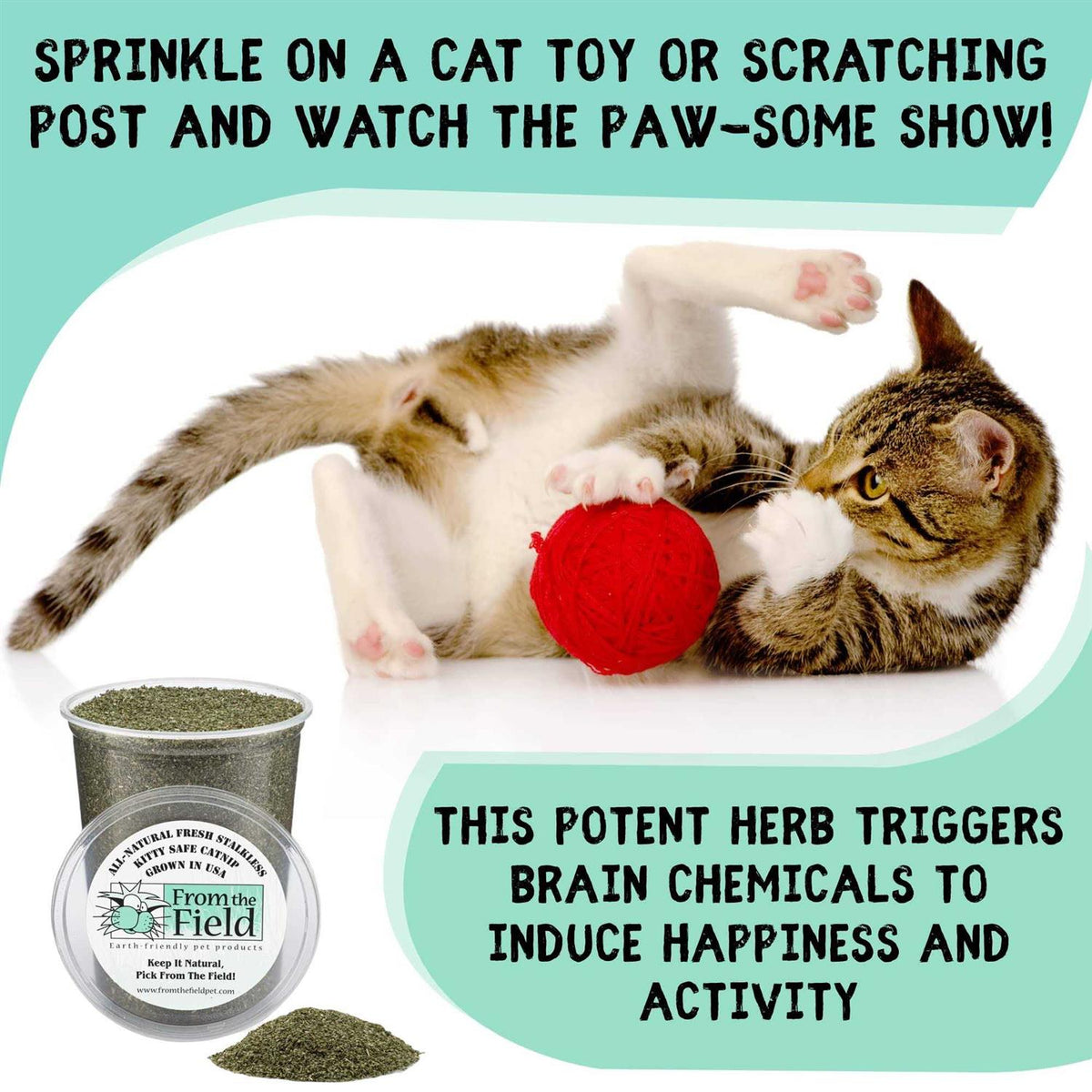 Catnip Pet Supplies S434