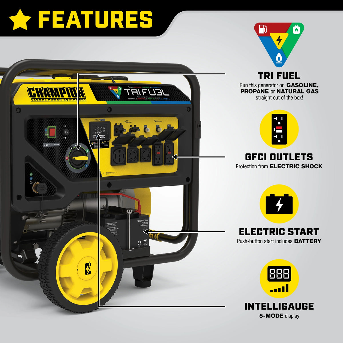 12,000-Watt Tri-Fuel Portable Generator with Electric Start L98969